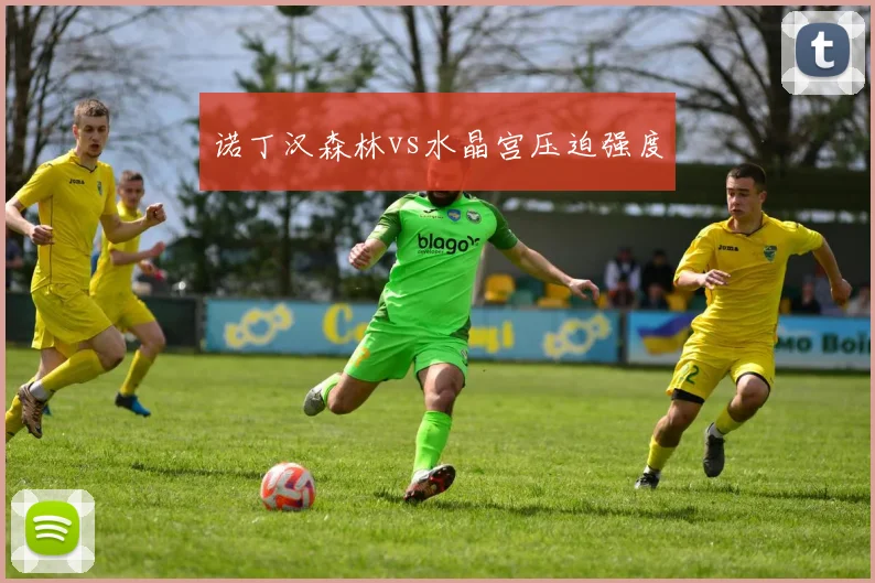 诺丁汉森林vs水晶宫压迫强度