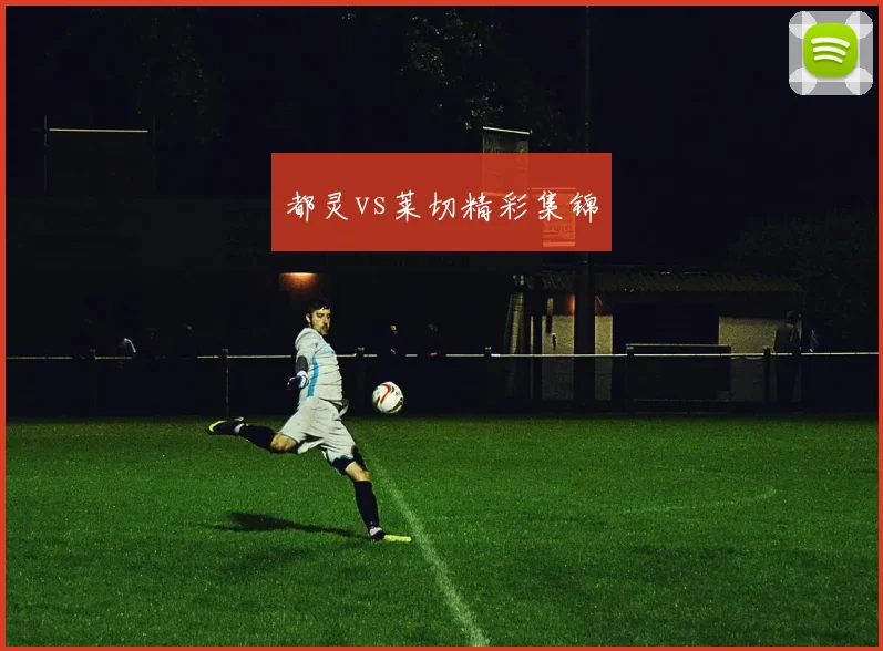 都灵vs莱切精彩集锦