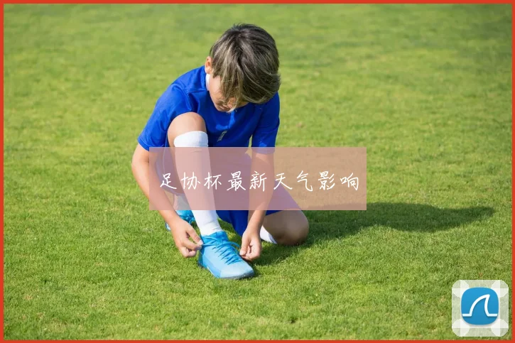 足协杯最新天气影响